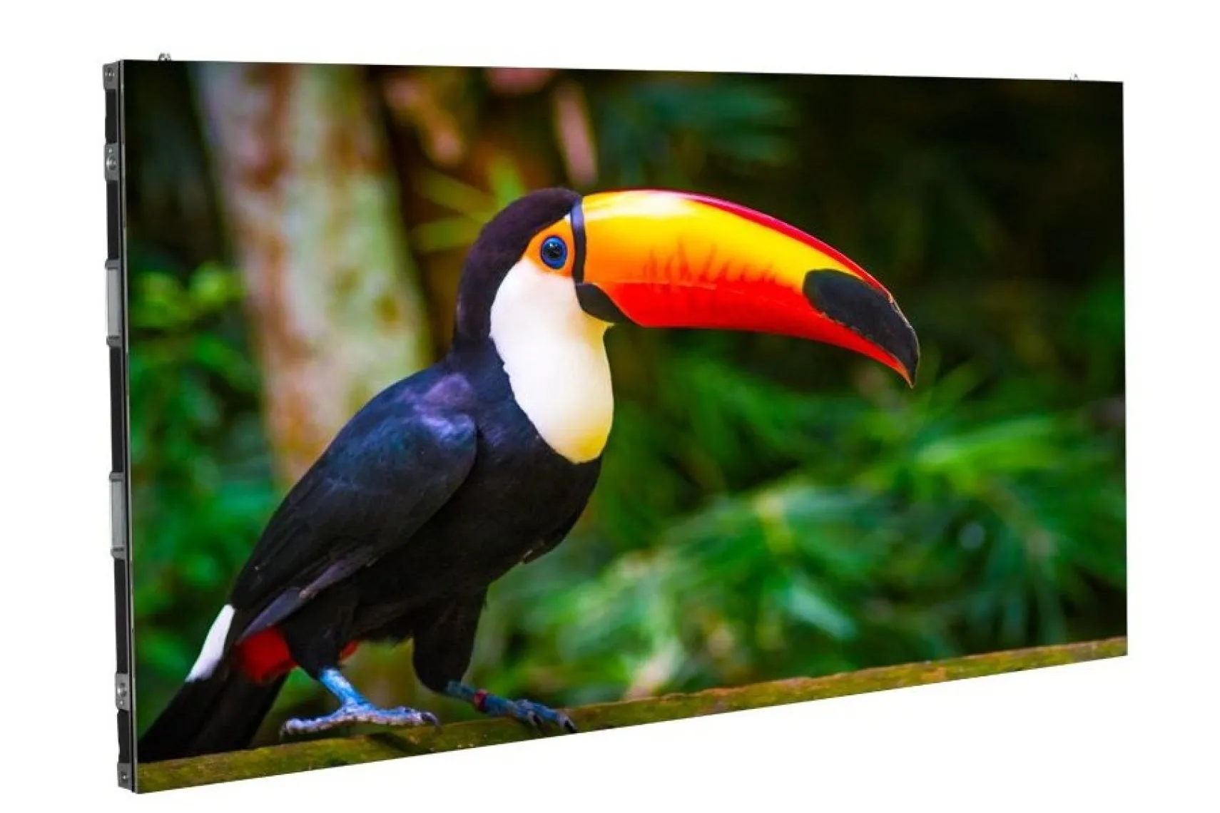 ADJ WMS1 LED Indoor Video Panel