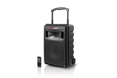 RCS DSC-101 Digital Sound-Center 100