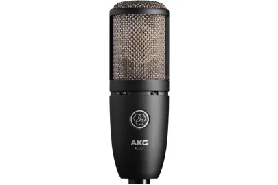 AKG P220