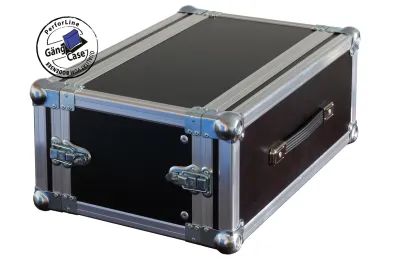 Gäng Eco-Rack DD 4HE / 250 Einbautiefe