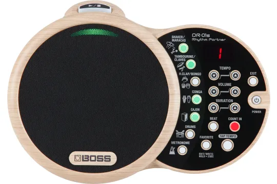 Boss DR-01S Rhythmusbegleiter