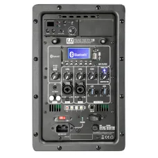 LD Systems Road Buddy 10 B5