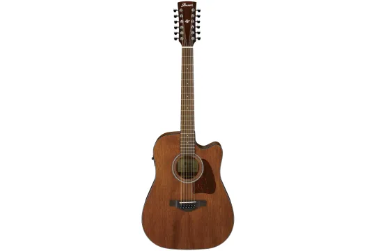 Ibanez AW5412CE-OPN Artwood