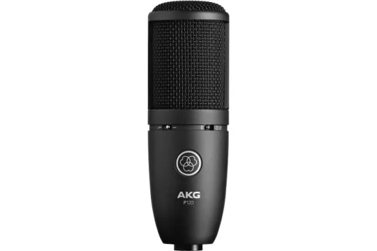 AKG P120