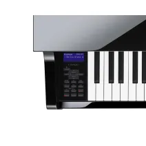 Casio GP-510 BP