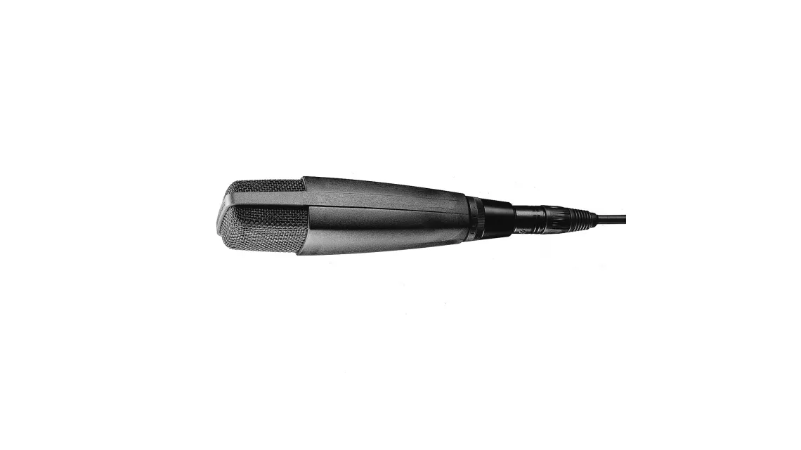 Sennheiser MD421-II Mikrofon