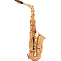 aS Alt Sax AAS-110