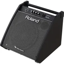 Roland PM-200 Aktive Monitorbox