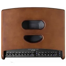 Hughes&Kettner era 1 wood