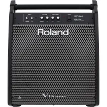 Roland PM-200 Aktive Monitorbox