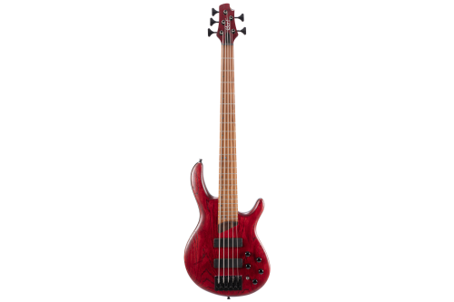 CORT B5 Element E-Bass Open Pore Burgundy Red 5-Saiter