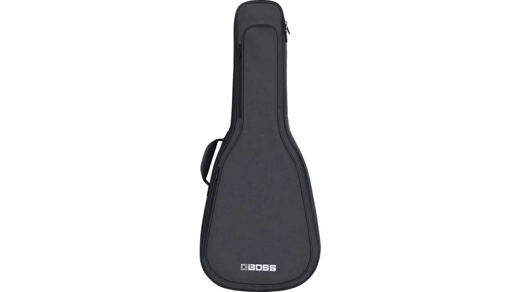 Boss CB-AG10 Gigbag