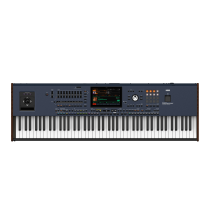 Korg PA5X88 Musikant