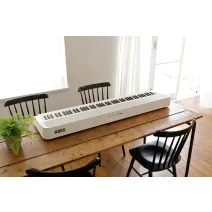 Korg B2 White