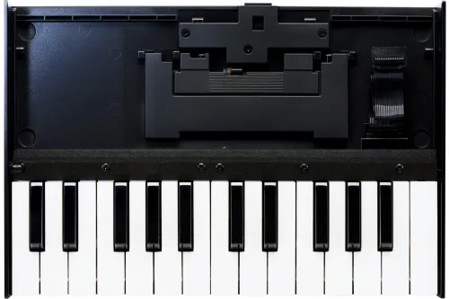 Roland K-25M