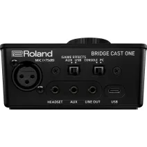 Roland Bridge Cast one