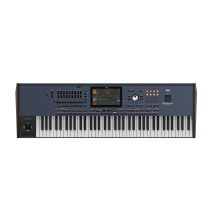 Korg PA5X76 Musikant