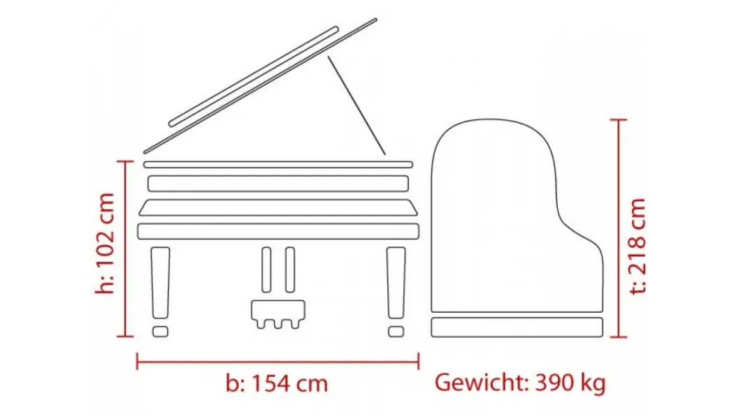 Feurich Flügel Concert I 218 schwarz