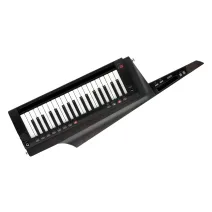 Korg RK-100S 2 Black