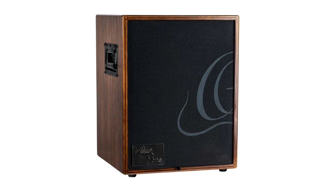 Ortega CONE-WND Acoustic Amp