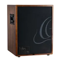 Ortega CONE-WND Acoustic Amp