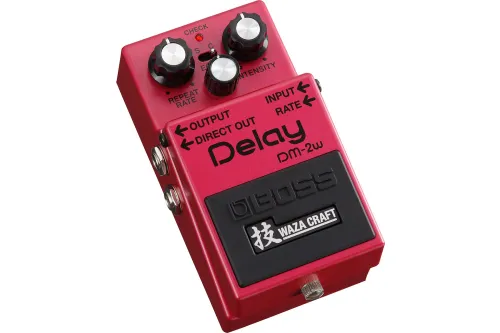 Boss DM-2W Delay