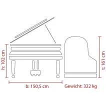 Feurich Flügel Dynamic I Mahagoni/Nussbaum