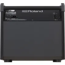 Roland PM-200 Aktive Monitorbox