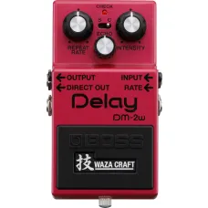 Boss DM-2W Delay