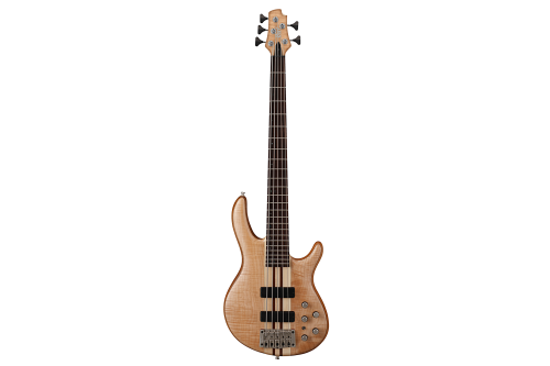 CORT A5 Plus FMMH E-Bass Open Pore Natural 5-Saiter