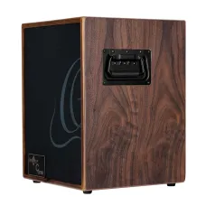 Ortega CONE-WND Acoustic Amp