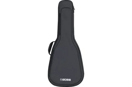 Boss CB-AG10 Gigbag