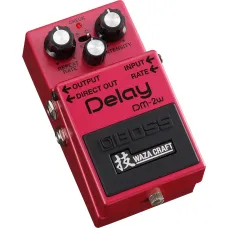 Boss DM-2W Delay