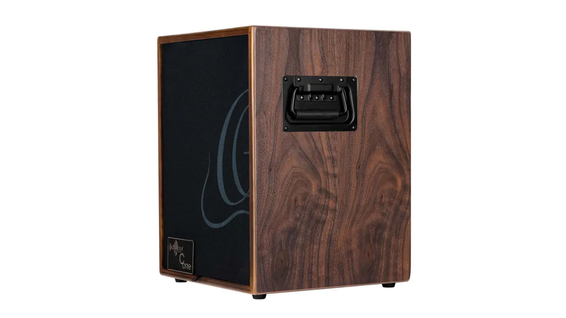 Ortega CONE-WND Acoustic Amp