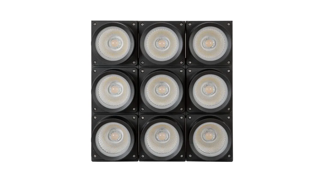 Eurolite LED IP Atmo Blinder 9