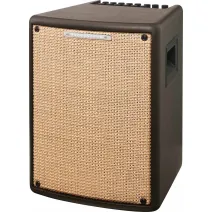 Ibanez T80II Acoustic Combo