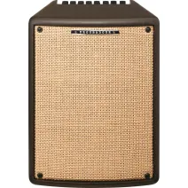 Ibanez T80II Acoustic Combo