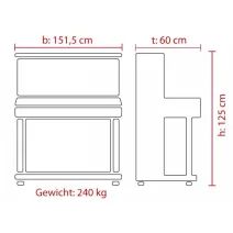 Feurich Piano Design 125 Schwarz