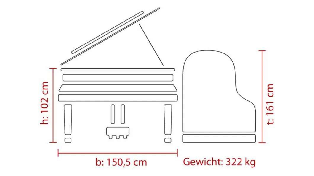 Feurich Flügel Dynamic I 162 schwarz mit Silencer