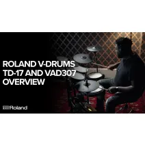 Roland VAD307