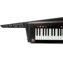 Korg RK-100S 2 Black